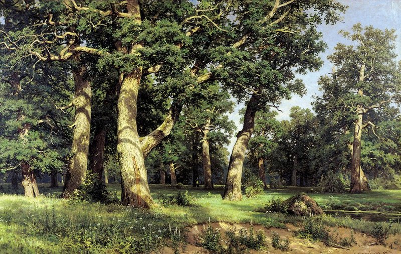 shishkin-dubovaya-roscha