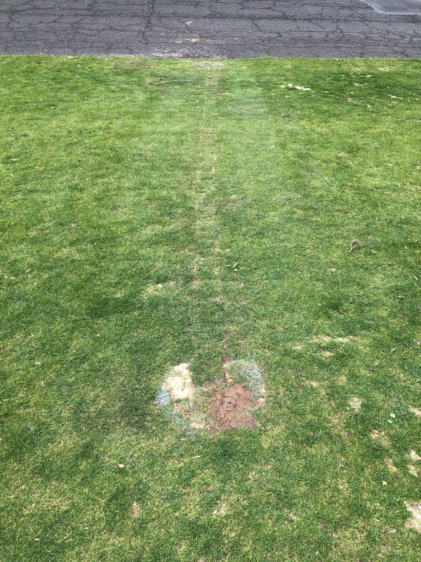 5A0C442A-E26C-4840-A5B2-B18C54864E3F