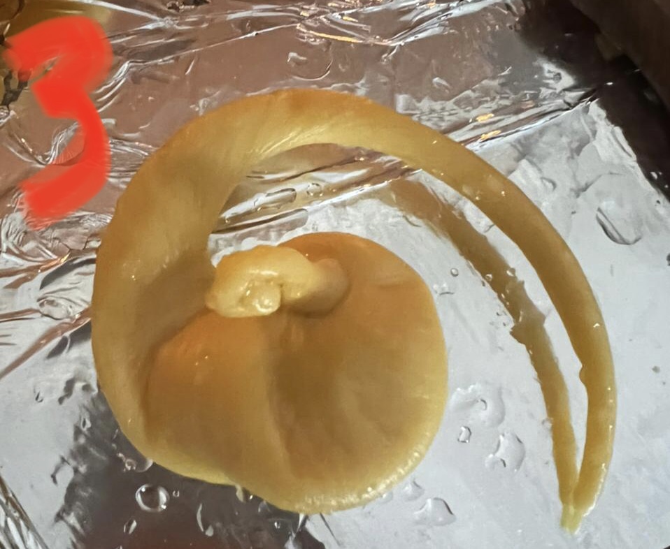 DE6F9BCE-7E58-42D3-81BD-4A3F6FA7AF62