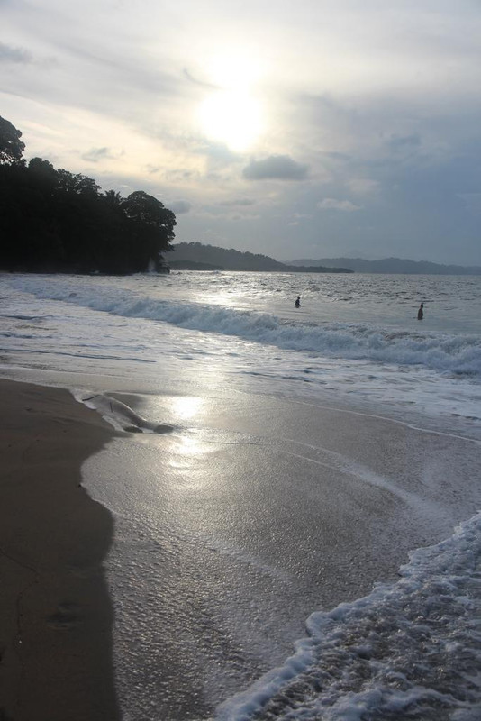 DIA 6: REFUGIO NACIONAL GANDOCA-MANZANILLO - DE TORTUGAS Y PEREZOSOS. COSTA RICA 2019 (22)