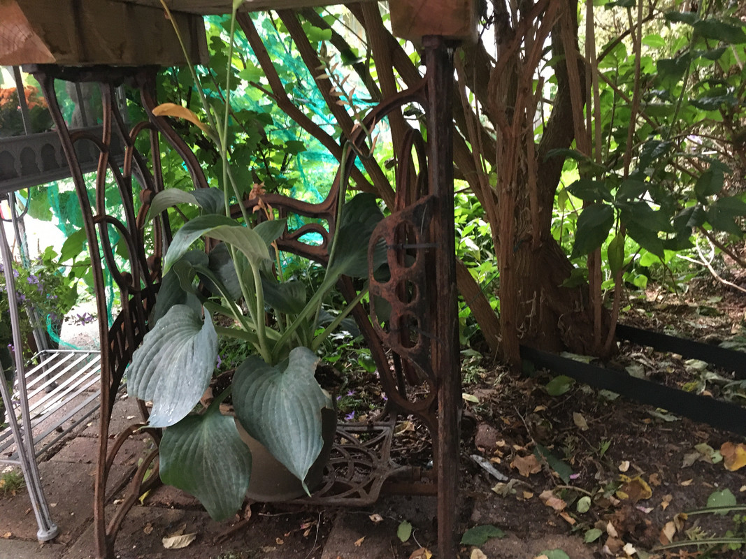 7F7E8D4A-4659-45E5-B601-4E0CAC6D8A30