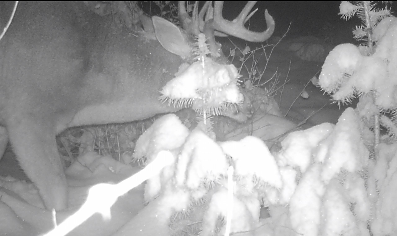 00B78F84-F8EE-4601-9FCB-E980709C85B3