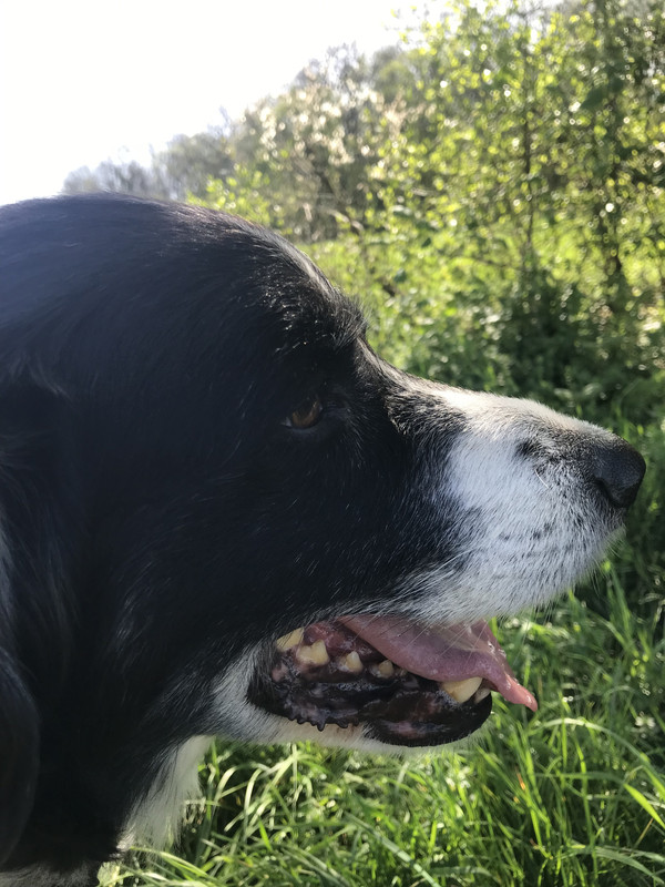 4CB16E2C-6D4F-4A19-A1A9-8E6C48051D64