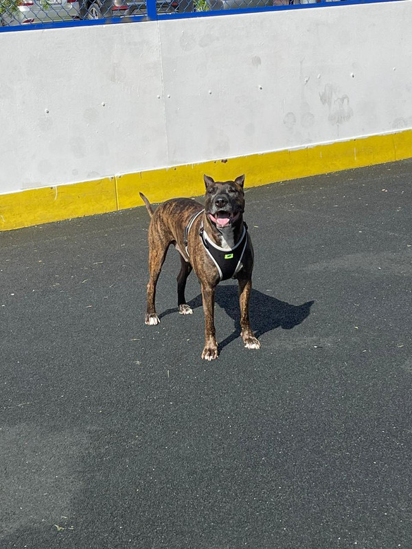 5F5FDE4D-FC42-44D4-94E0-A17B534C208D