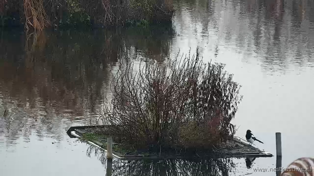 snapshot 2025 12 20T155929 457