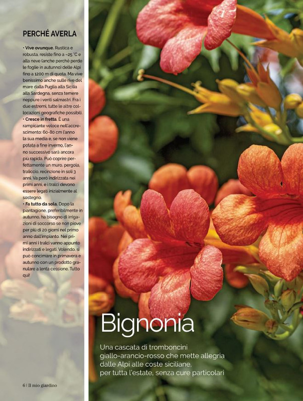 Il Mio Giar Lug-Ago 2021 (1)