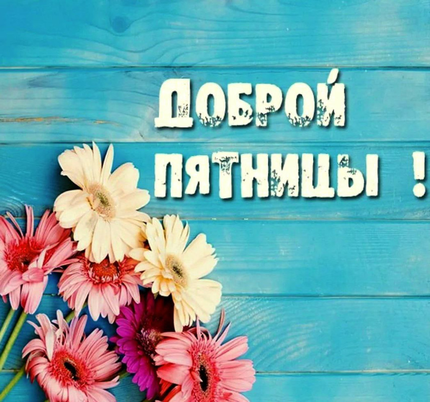 IMG_20230825_115808_117