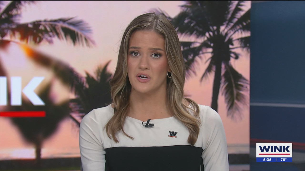 WINK News at 630am_20250908_11301200.ts_snapshot_07.29.283