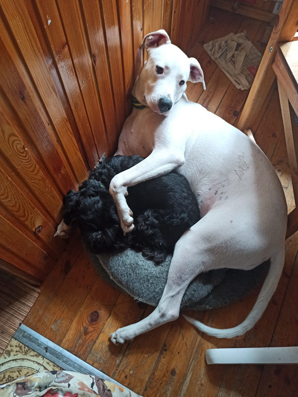 A5945F6D-4601-4BC0-95A2-970138CAC173