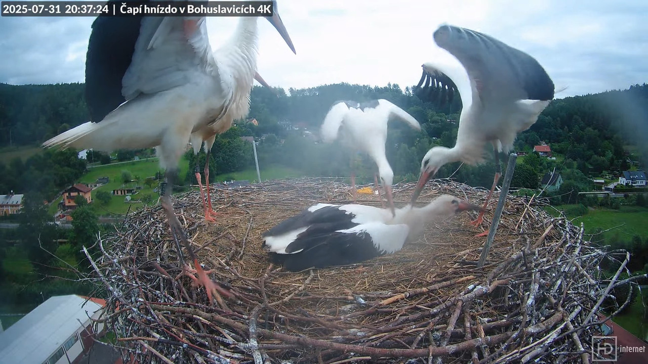 Tiešraide no KARA uzņēmuma stārķu skursteņa Bohuslavicē netālu no Trutnovas 16-59-29 screenshot