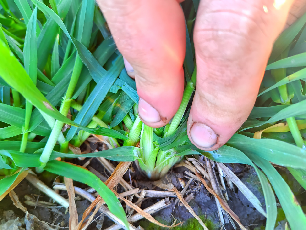 IMG 20260308 162613 026