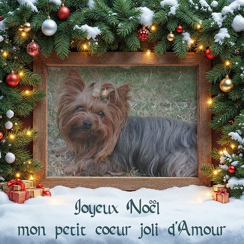 pixiz 21 12 2025 17 42 21