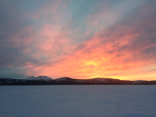 Burbot sunset