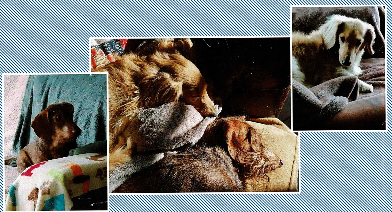 [Image: Num-risation-20250628.jpg]