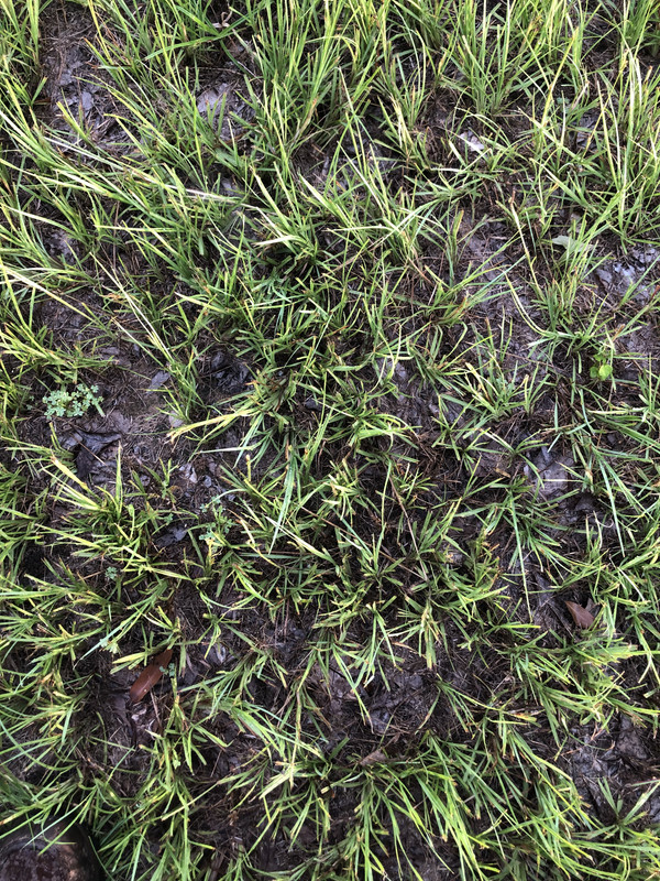 7733582B-FB83-4EB4-BE23-355934A864D9