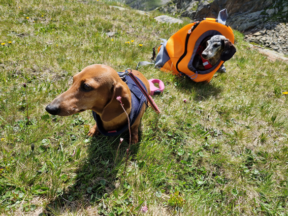 [Image: 20230703-125329.jpg]