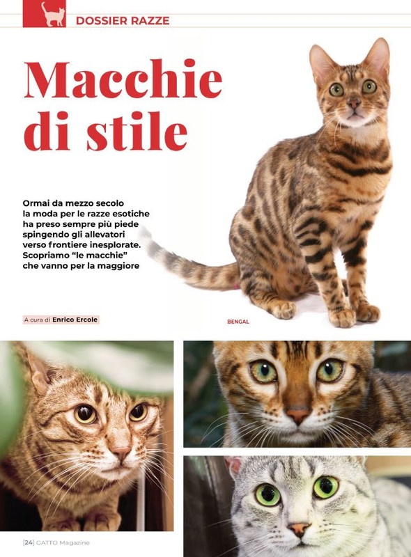 Ga Ma Ago-Set  2021 (1)