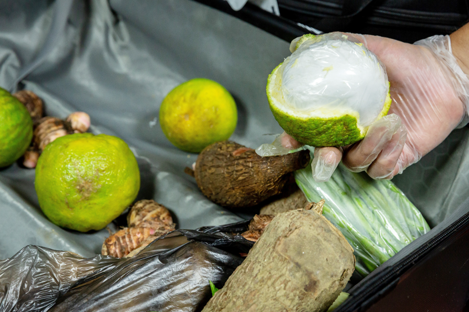 Decomisan frutas con cocaína; viajaban al mercado de Europa