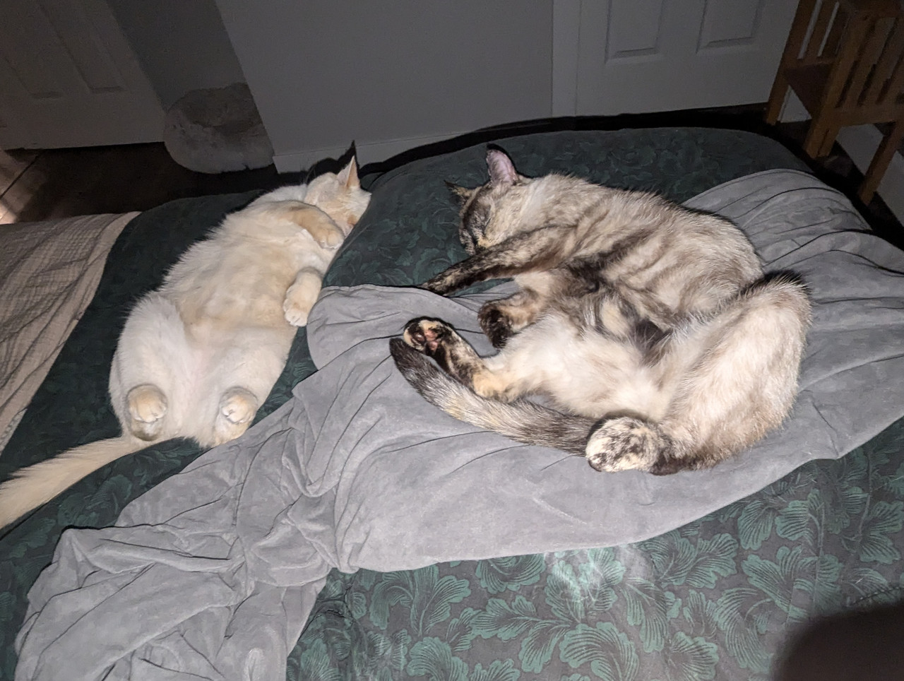 PXL 20241015 223519751