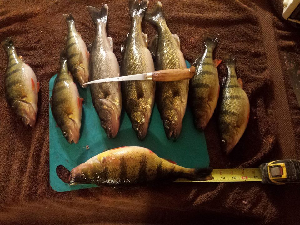 2018 ice fish