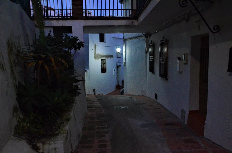 OJEN-9-3-2017 - Málaga y sus pueblos-2009/2017 (51)