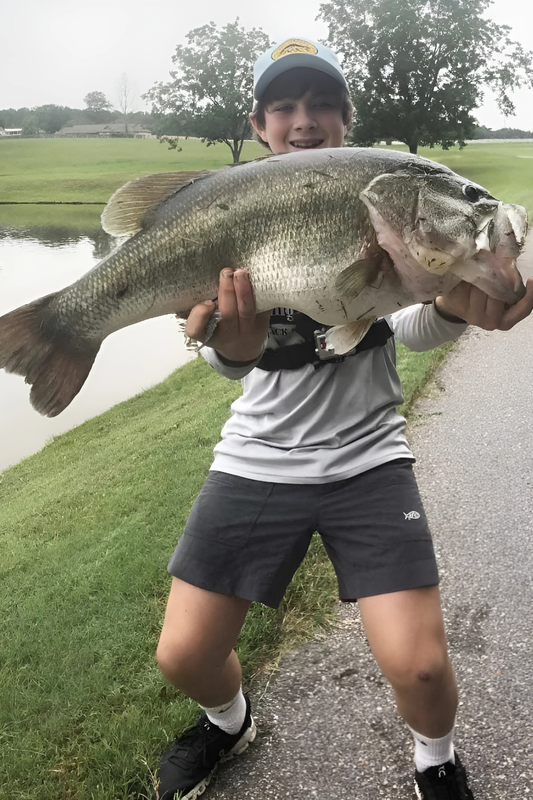 Darren holding multiple walleyes