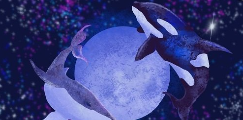 Procreate for Beginners: Learn the Basics Flying Whales around the Moon