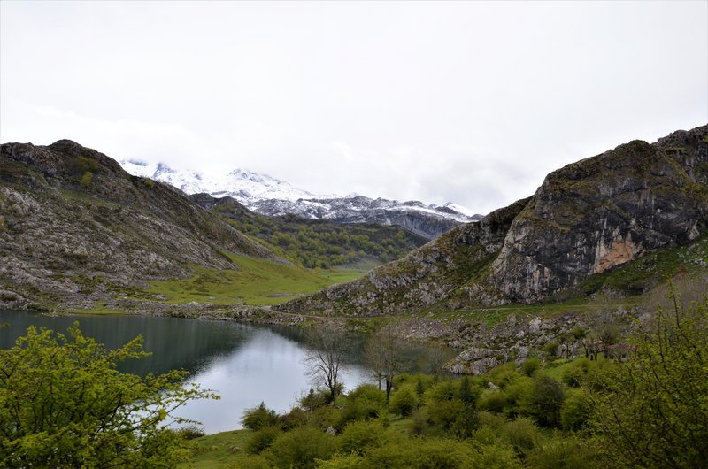 PICOS DE EUROPA-16-5-2013-LEON/ASTURIAS/CANTABRIA - Paseando por España-1991/2016 (10)