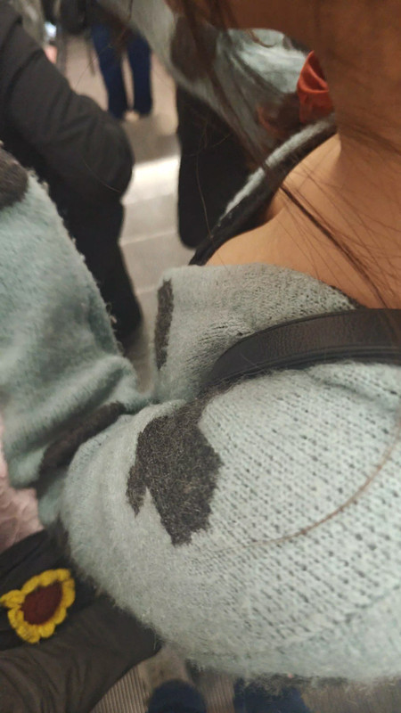 IMG 20260216 15295607