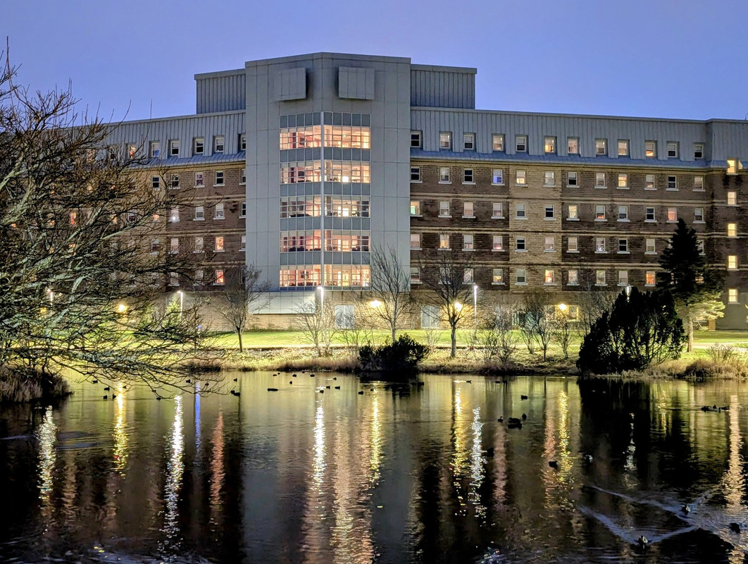 PXL_20241127_201818968~2