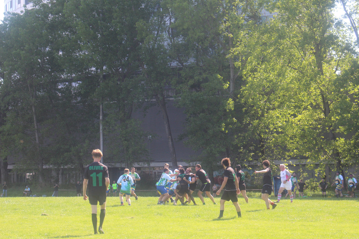 IMG-0368
