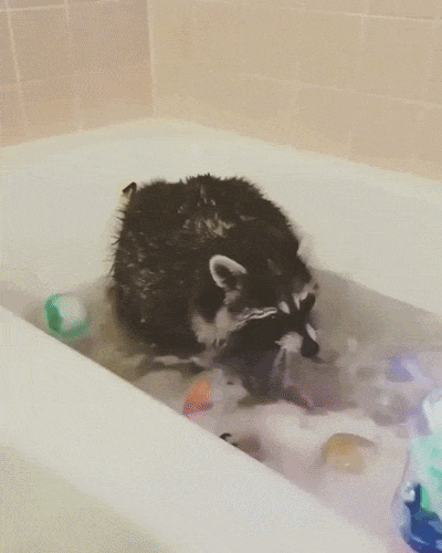 image.gif