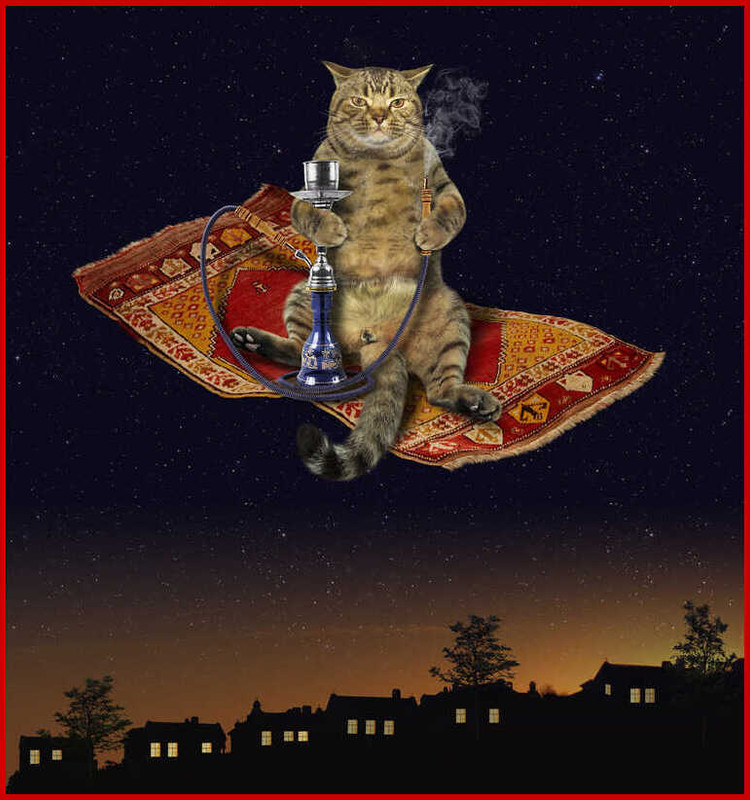 9B42E5BA-D22F-4F78-8F5C-DD5BAD3AB5D6