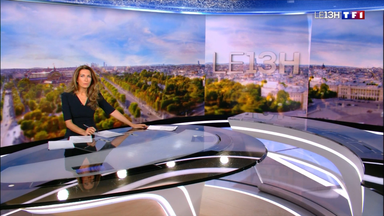 2022-11-20_13_00_TF1_Le-13h.mp4_snapshot_12.14.696