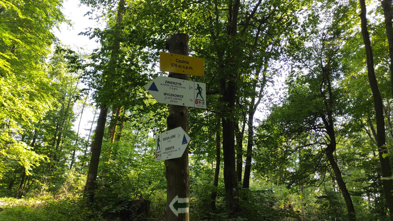 09.06 - IMG_20220616_171836 (Czesio1)