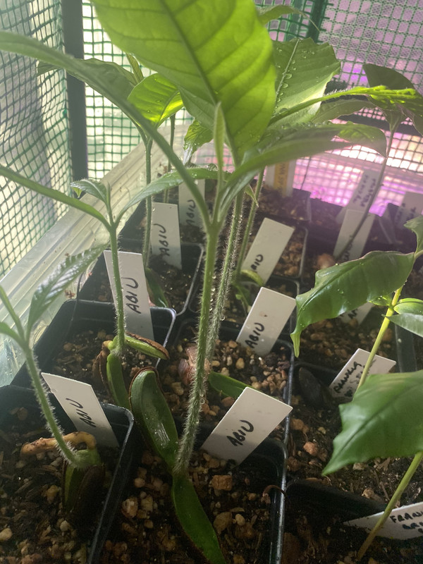 0112BFA9-92B6-4607-AEDF-D8CD8EB85D97