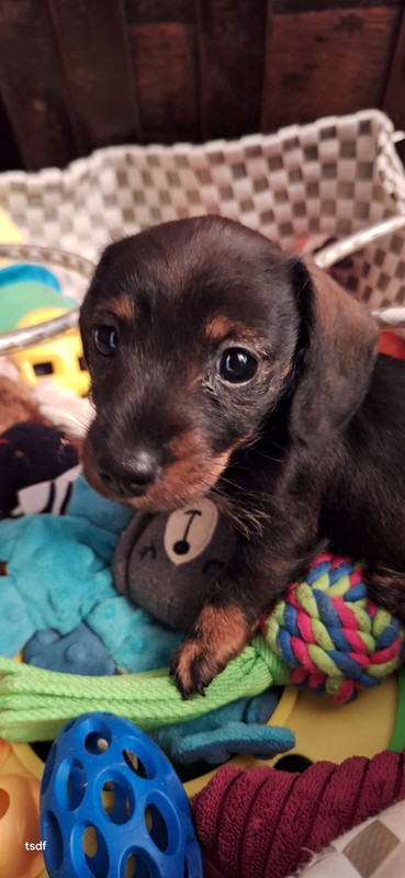 [Image: 20250605-190256.jpg]