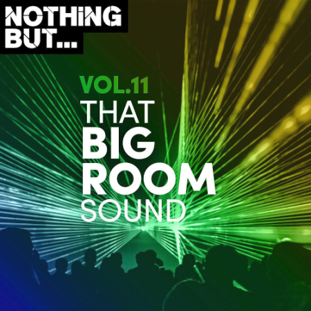 VA - Nothing But... That Big Room Sound Vol. 11 (2020)