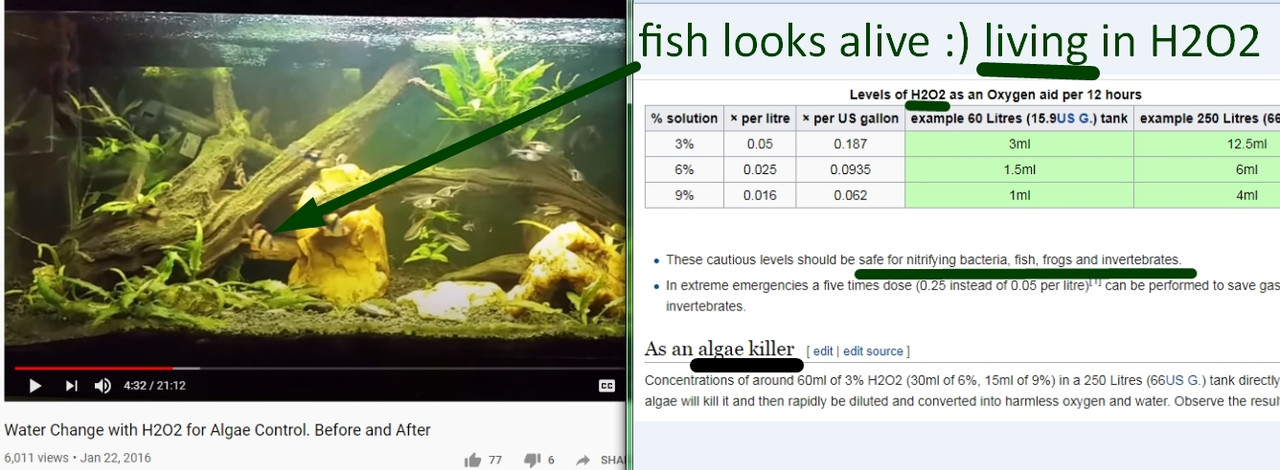 Screendrjfjdgsfasfsegshot_2