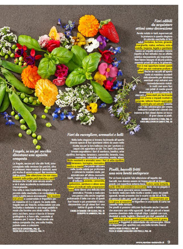 Cucina Nat Mag 2023 (2)