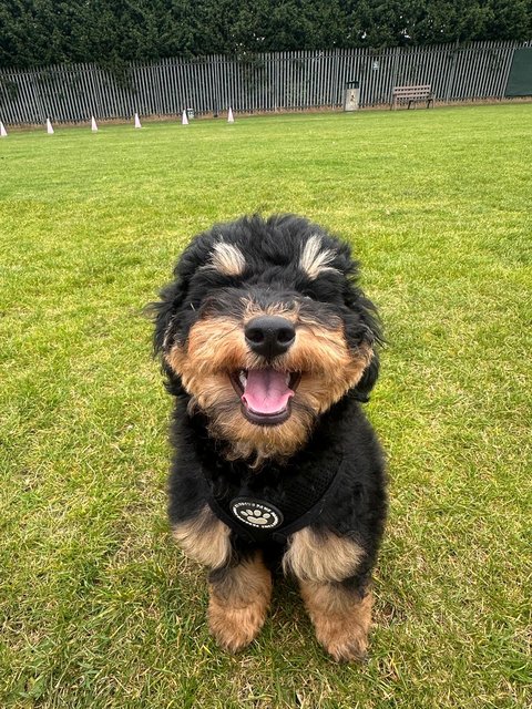 lenny-cute-2.jpg