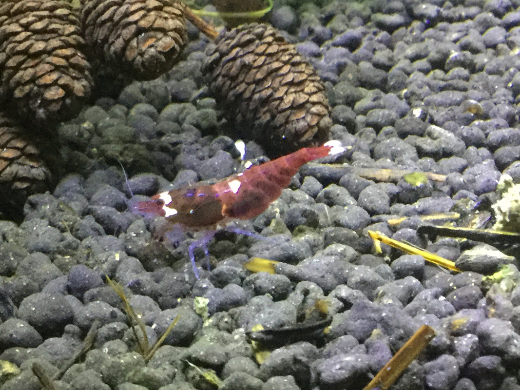 5F9B703F-5656-4CA2-A4BA-D330C9A39755