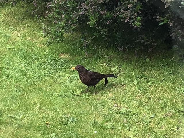 4C99D133-93C5-495A-9F6A-C41C24CC6EFD