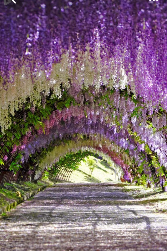 Screenshot_20230904_234601_Pinterest