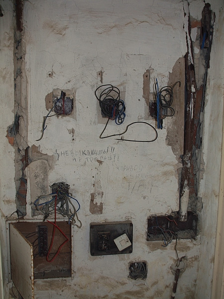 P8317281