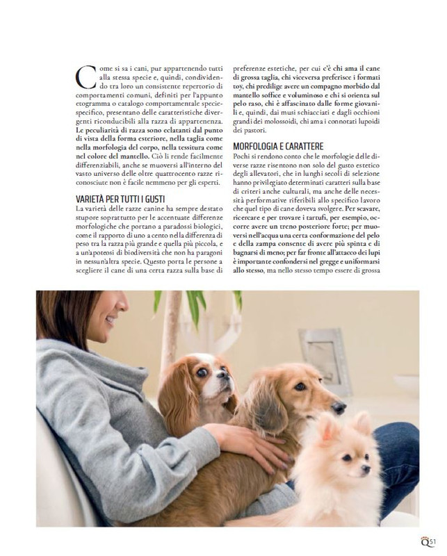 QuattroZampe Nov 2022 (6)