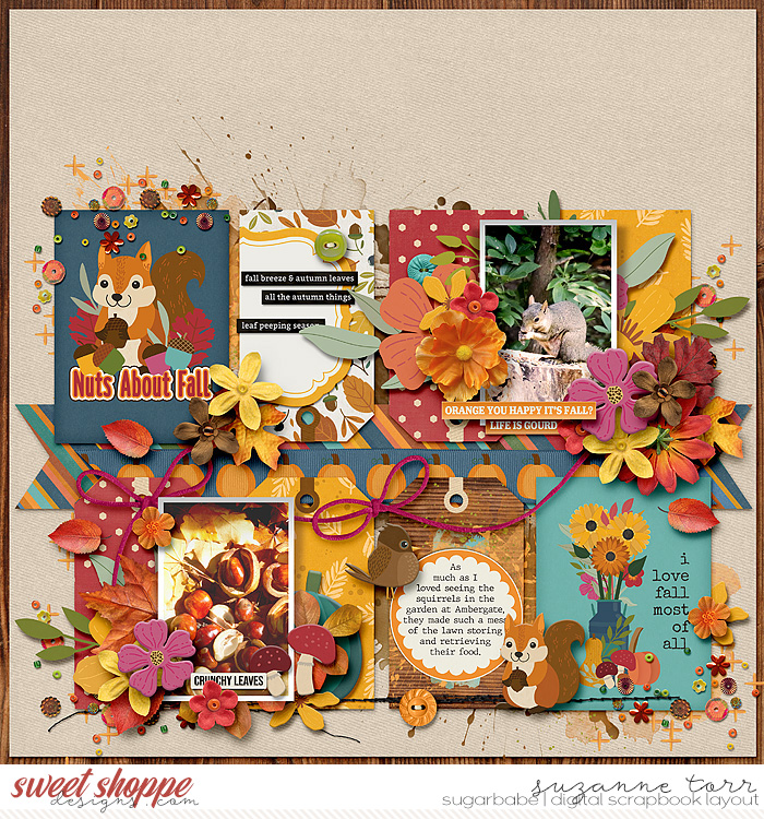 Suz-Into-Autumn-Photo-Toolbox-700-WM.jpg