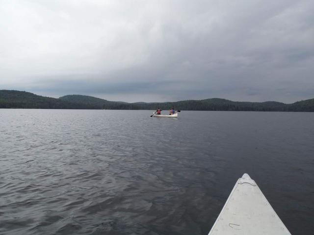 Parque Provincial de Algonquin - DOS SEMANAS EN EL ESTE DE CANADÁ (ONTARIO Y QUÉBEC) (5)