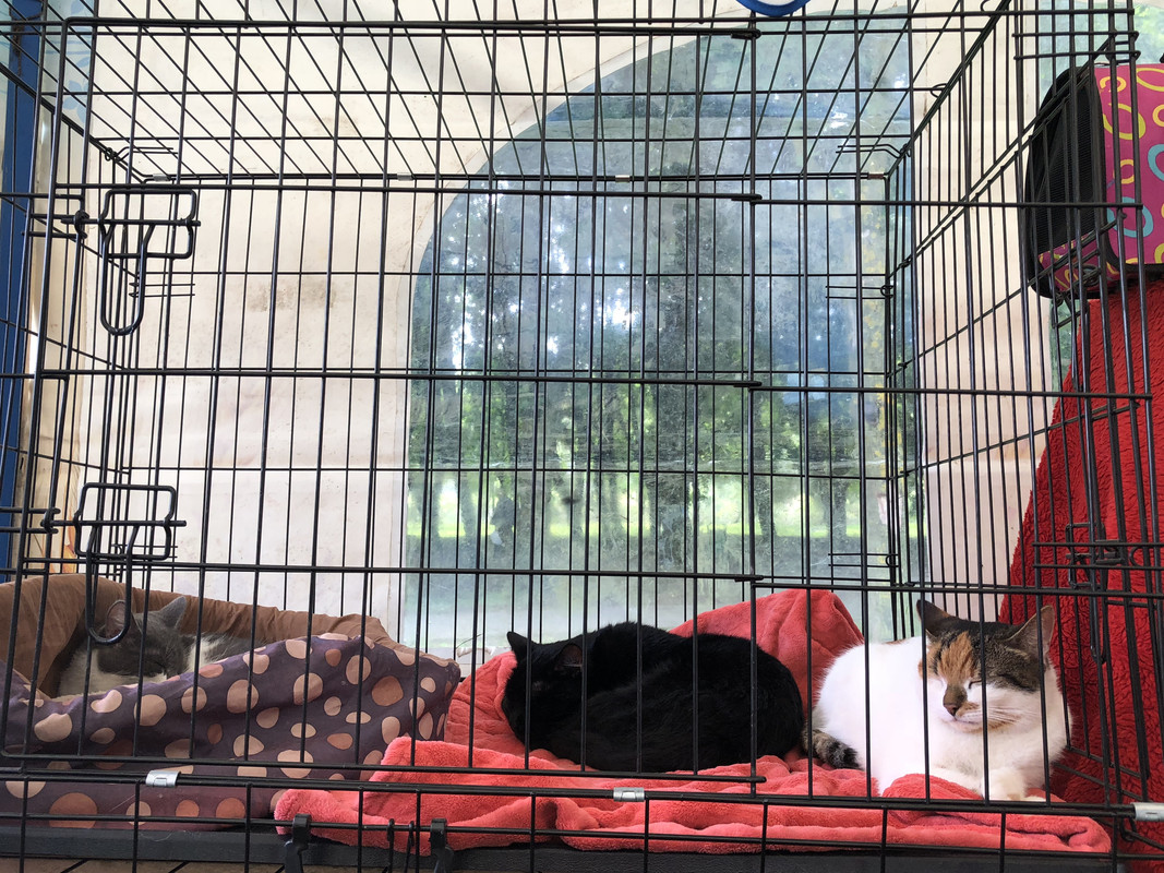 17C1A93B-E96E-400C-9807-F41970672A77