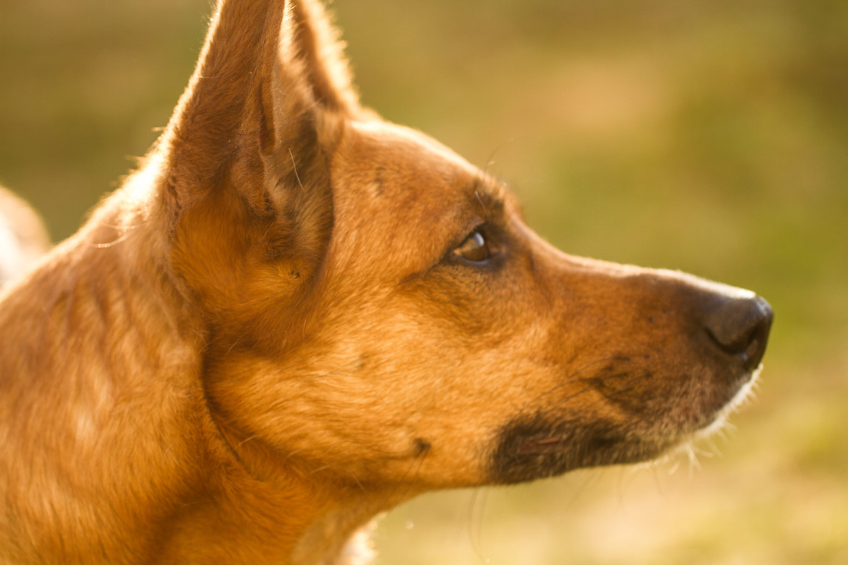 без имени-5391